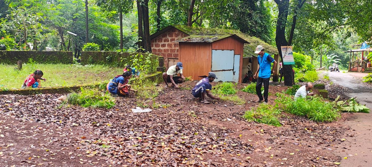 साफसफाई उपक्रम